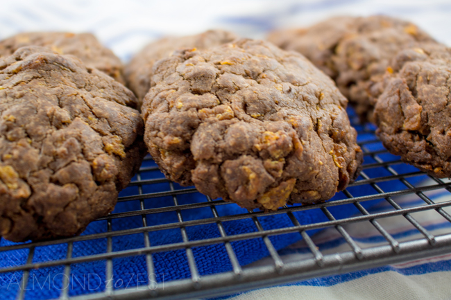 Chocolate Crunch Cookies - Rich, ultra chocolaty cookies with chocolate icing and a lone walnut center! Absolutely delicious!!