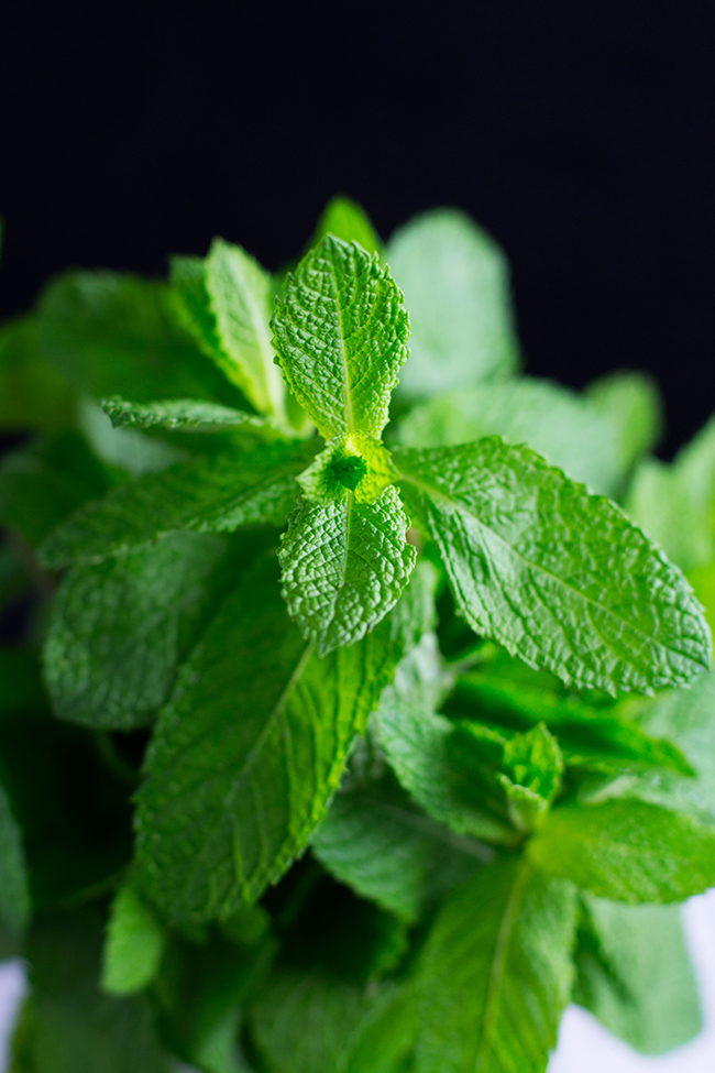 Mint and Feta Pesto