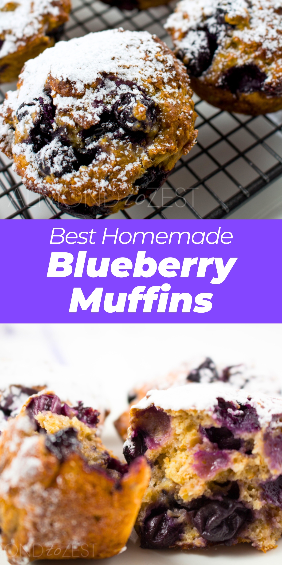 Blueberry Muffins